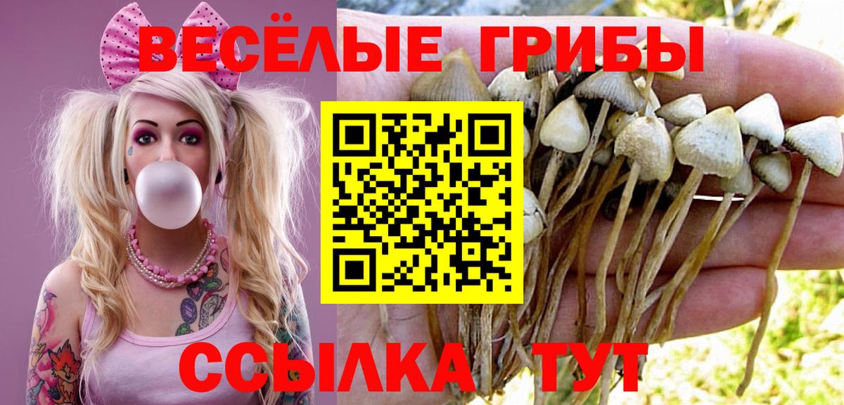 Галлюциногенные грибы мухоморы  Вход с VPN  Городец 
